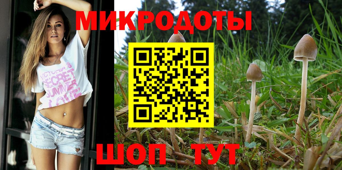 Лысьва  Галлюциногенные грибы MAGIC MUSHROOMS  Псилоцибиновые грибы Magic Shrooms  Вход с VPN 